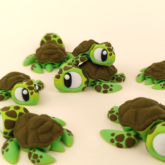 Sea Turtle